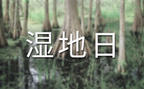 世界濕地日的主題作文(精選40篇)