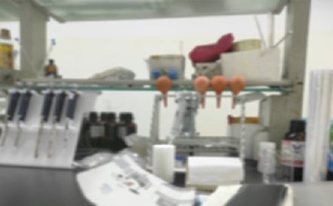 實驗室管理制度(必備15篇)