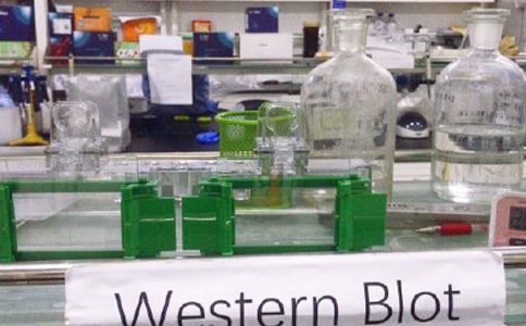 實驗室管理制度優(yōu)秀