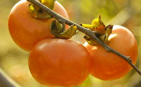 ����܎ѩ�����x���