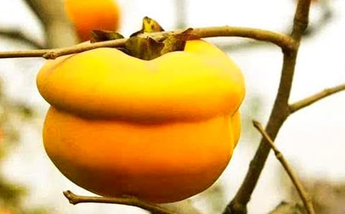 ���Ә�����500��4ƪ