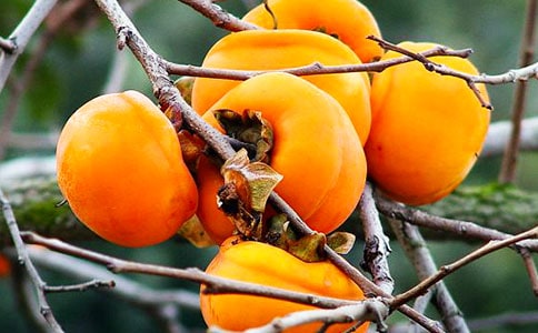 ��ô�����Ӳ�մ�����ɳ����Ӳ�մ�ֵķ���