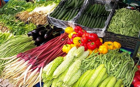 《蔬菜》美術(shù)教案