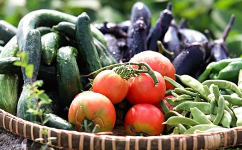 �а�ƌW(xu��)����߲˜��̰�