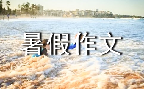 暑假作文作文4篇(優(yōu))