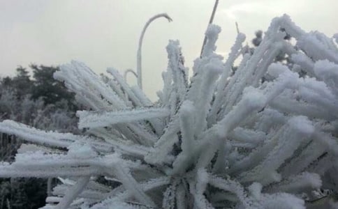 ÷�h�͜�˪�����A(y��)��(b��o)�����о�