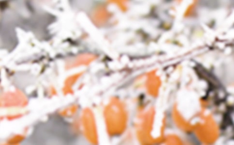 博州農(nóng)區(qū)1958-2007年終霜凍的變化趨勢(shì)