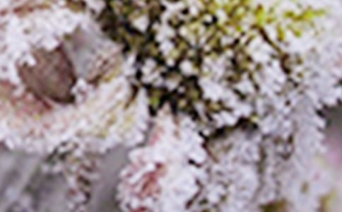 鳳縣花椒霜凍特點(diǎn)及御防