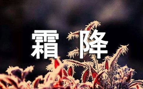 霜降寄語(yǔ)(通用30句)