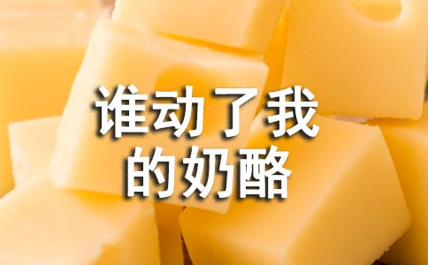 誰動(dòng)了我的奶酪讀后感700字作文