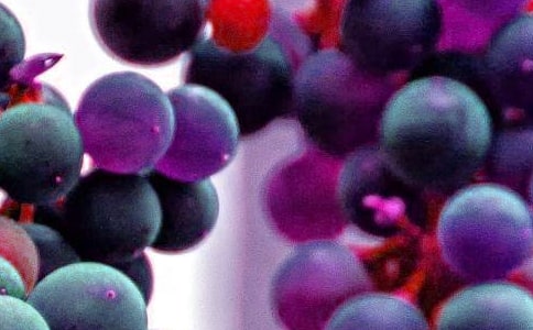 大班美術(shù)教案水果