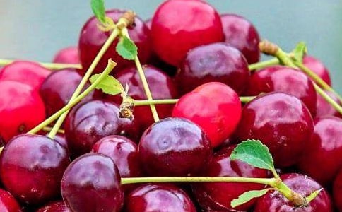 我最喜歡的水果-西瓜作文