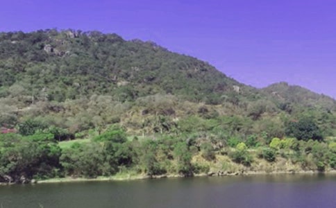 岳城水庫650字作文