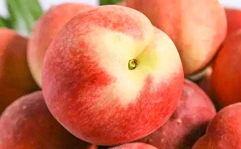 我最愛的水蜜桃小學(xué)生作文(通用30篇)