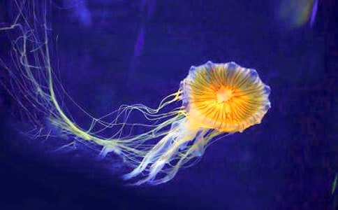 Сˮĸ���Ӵ�