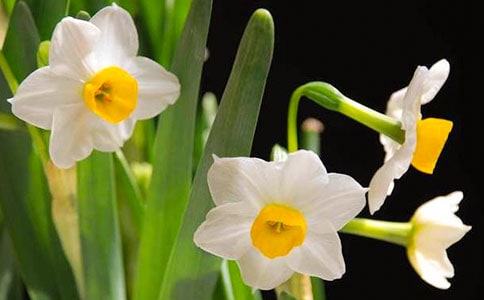 һ�ò��_(k��i)����ˮ������