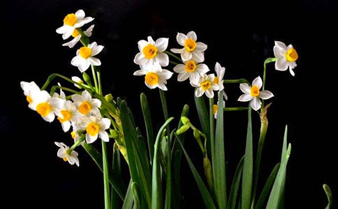 ���ŵ�ˮ������