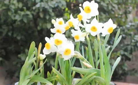 ����Ʒ���Ґ���ˮ�ɻ�����