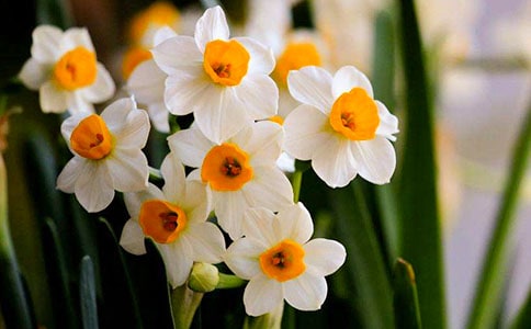 ����������ˮ�ɻ�