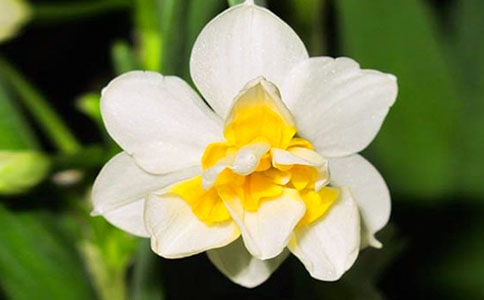 ˮ�ɻ����ı؂�[15ƪ]