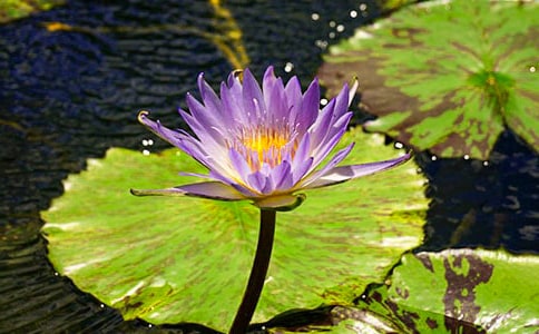 ���ƌW(xu��)˯ɏ���_(k��i)�̰�