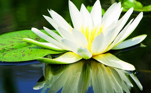 �а�ƌW(xu��)˯ɏ���_�̰�