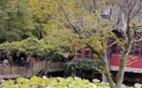 �K�݈@�֌����~[��15ƪ]