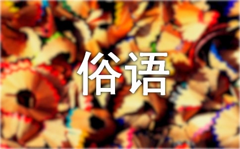 關(guān)于橋的俗語