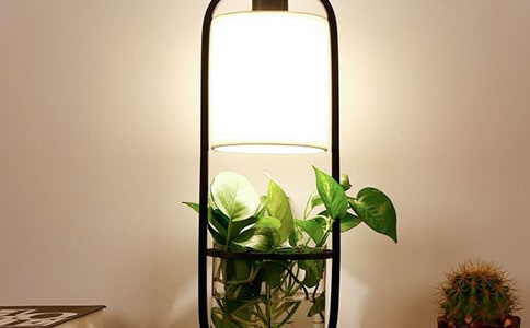 С�_��С�W����15ƪ