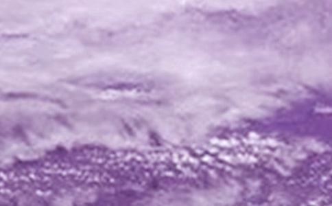 臺風(fēng)過后作文(通用28篇)