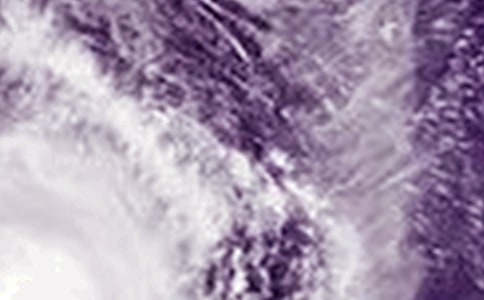 寫(xiě)臺(tái)風(fēng)的作文