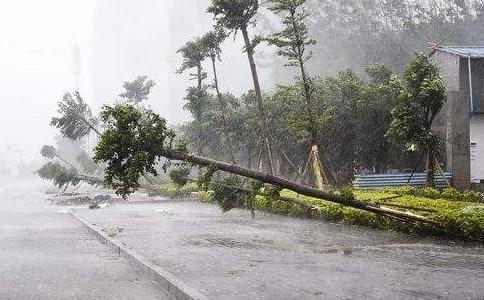 ��ۙ�_(t��i)�L(f��ng)���l(w��i)�ǵڶ��n�r(sh��)��(y��u)��̰�