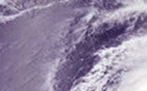 關(guān)于臺(tái)風(fēng)的作文(合集15篇)