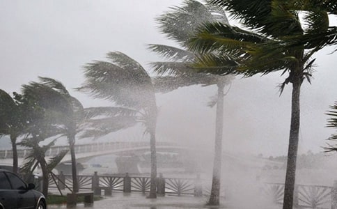 �P(gu��n)���_(t��i)�L(f��ng)������