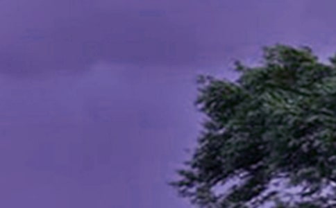 �Ͳ����_�L(f��ng)����