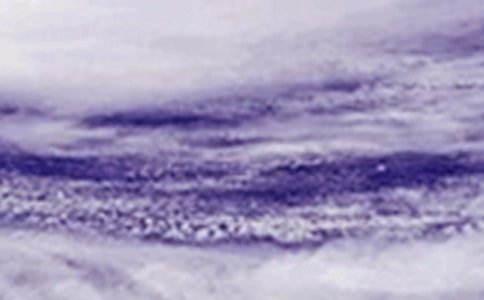 臺(tái)風(fēng)過(guò)后作文(精選46篇)