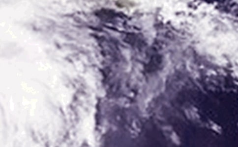 臺(tái)風(fēng) “韋帕”作文