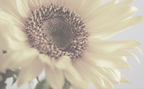 �а����g(sh��)�̰����ֹ�̫ꖻ��̰����̌W��˼