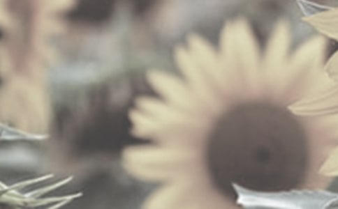 �茑(xi��)̫�(y��ng)����С�W(xu��)������