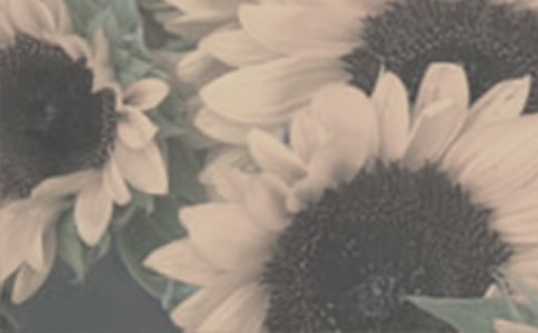 ̫ꖻ����꼉��������