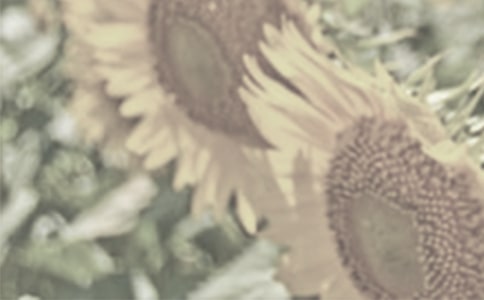 ����̫�(y��ng)������