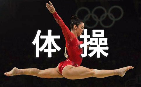 ��x,���X���w��