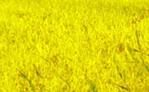 ���x��������Ұ����4ƪ