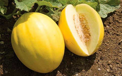 ��Ͽ�˪ù������ͬԴ���п�¡�c����