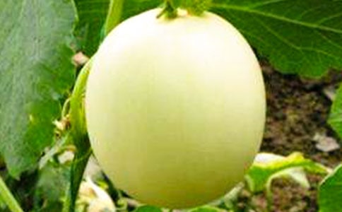 ������Ч�e���紺�O(sh��)ʩ��Ƥ��Ϲ����l(f��)��ģ�Mģ��