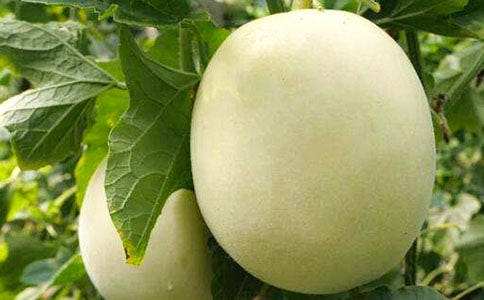 �n�S-���-ˮ����(w��n)�Z��Ч�Nֲģʽ