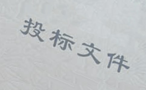 投標(biāo)工作總結(jié)