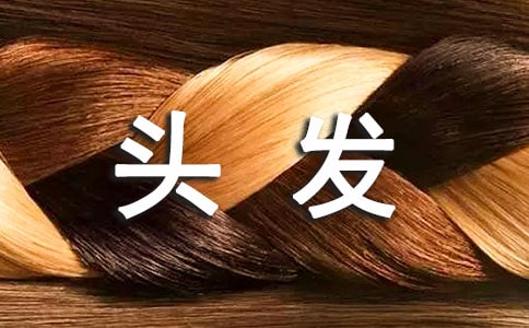 剪頭發(fā)作文(精選38篇)