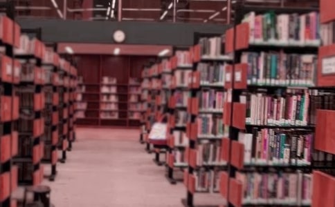 �D�����ו��V��ĸ���