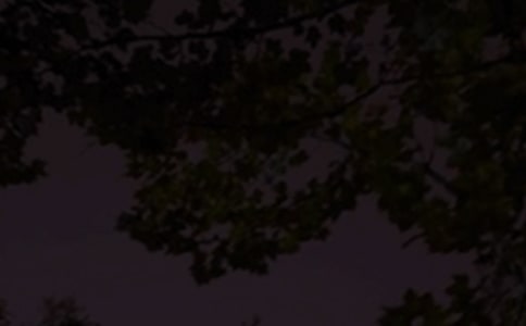 ��������Ȧ�������Z145��